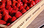 Sunny Ridge Strawberries in a box