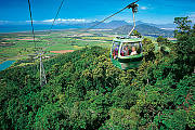 Enjoy spectacular views on Skyrail Rainforest Cableway