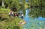 Horse Riding Highlights Tour
