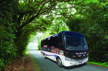 Port Douglas to Cairns City One Way Shuttle